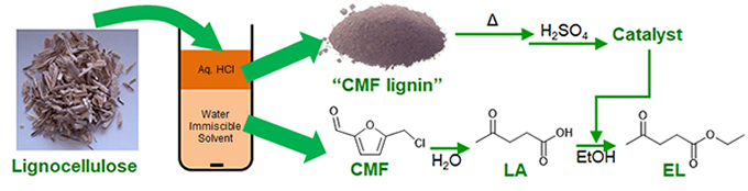 CMF-lignin: a novel mesoporous heterogeneous catalyst direct from a biorefinery process
